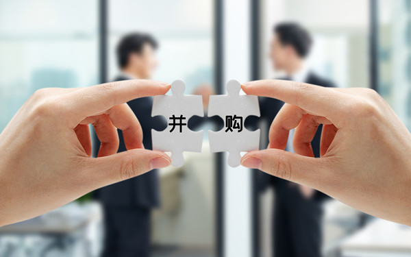 戰(zhàn)略投資與并購(gòu)：拓展企業(yè)規(guī)模，增強(qiáng)市場(chǎng)競(jìng)爭(zhēng)力