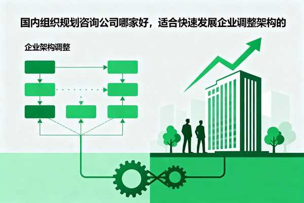 國內(nèi)組織規(guī)劃咨詢公司哪家好，適合快速發(fā)展企業(yè)調(diào)整架構(gòu)的