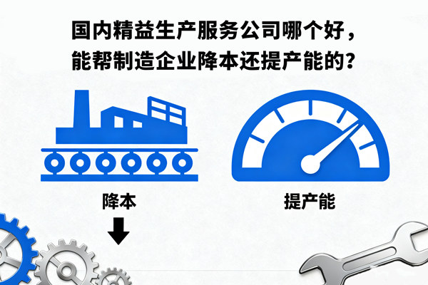 國(guó)內(nèi)精益生產(chǎn)服務(wù)公司哪個(gè)好，能幫制造企業(yè)降本還提產(chǎn)能的？