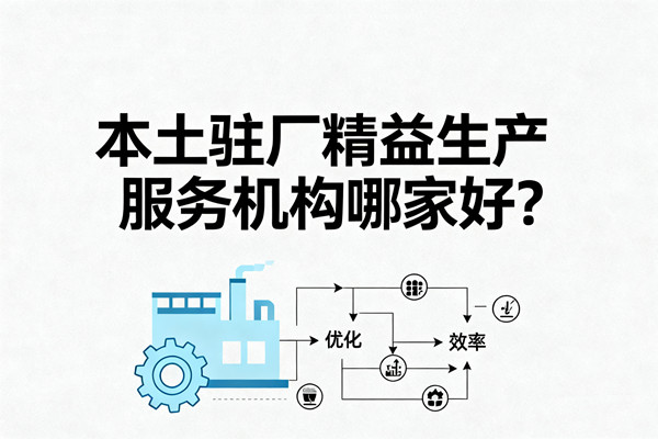 本土駐廠精益生產(chǎn)服務(wù)機構(gòu)哪家好？