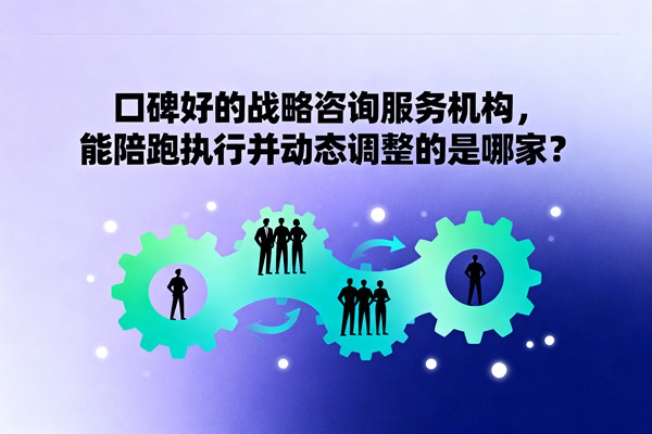 口碑好的戰(zhàn)略咨詢服務(wù)機構(gòu)，能陪跑執(zhí)行并動態(tài)調(diào)整的是哪家？