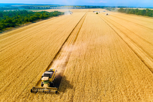 農(nóng)業(yè)行業(yè)供應(yīng)鏈管理咨詢公司推薦，能解農(nóng)資采購成本高問題嗎？